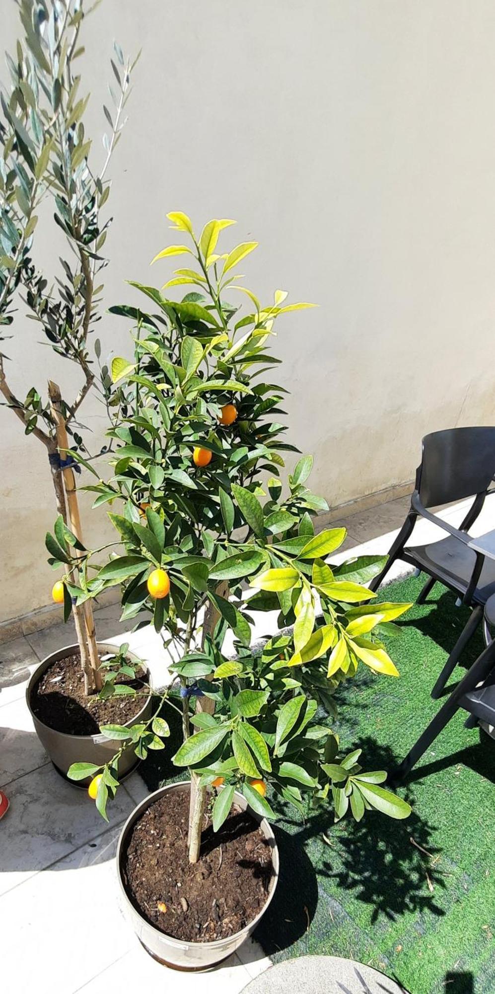 Appartamento Hidden Gem, Modern 2bedroom, Amazing Terrace-free Parking-your Away From