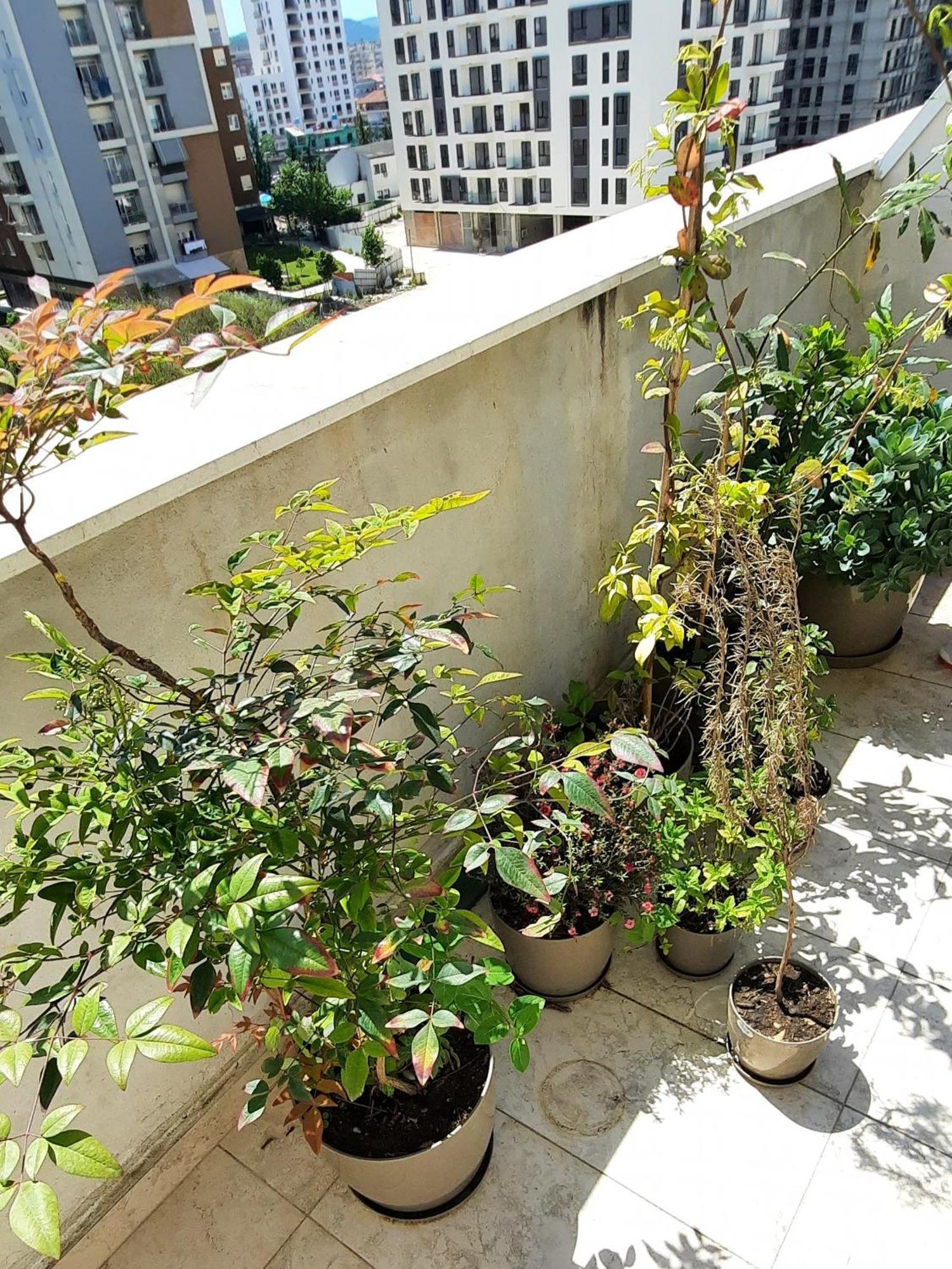 Hidden Gem, Modern 2bedroom, Amazing Terrace-free Parking-your Away From Apartment